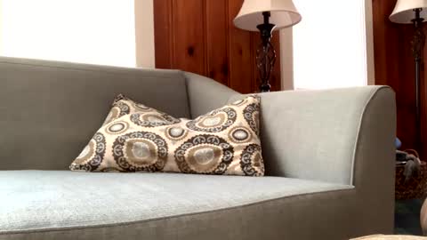 Tyler Sands online show from February 2025 02:46:01 PM