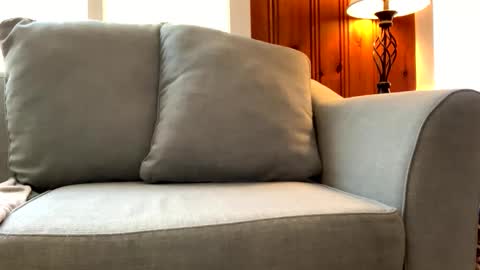 Tyler Sands online show from March 2025 03:49:02 PM