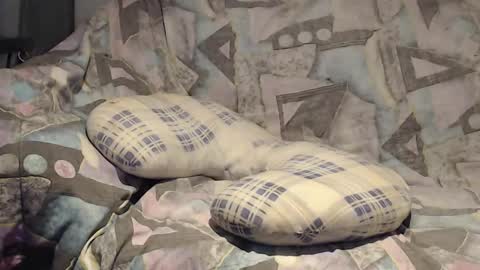 Snapshot of tyson2525 chatting on November 2025 04:11:02 AM Helena and Tyson online show from November 2025 04:11:02 AM