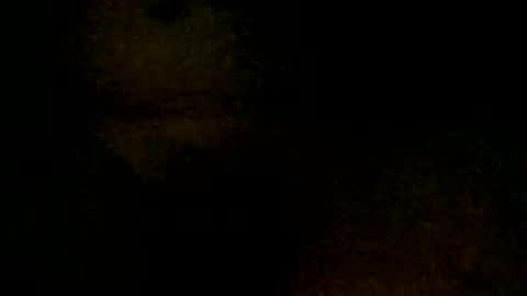 tystickk66 online show from January 2025 09:52:01 AM