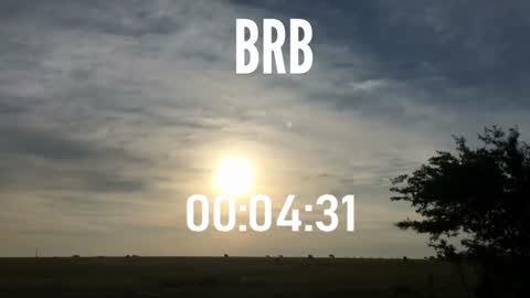 ulmo_br online show from December 2024 10:58:02 PM