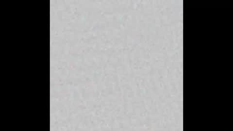 un_chat_de_rue online show from October 2025 11:14:02 AM