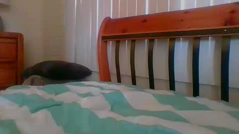 Unique online show from January 2025 09:04:02 PM