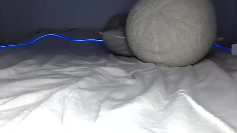 unveilx_ online show from April 2026 07:07:02 PM