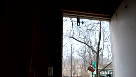 Snapshot of upforanything27 chatting on December 2024 06:41:01 PM upforanything27 online show from December 2024 06:41:01 PM