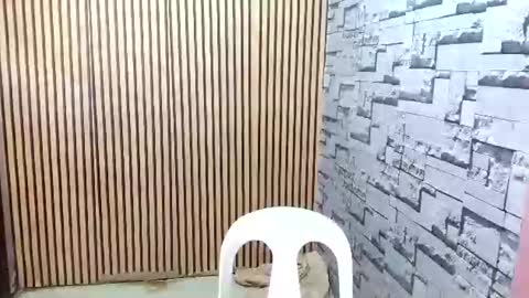 ur_asian_wife6969 online show from March 2026 05:21:02 AM