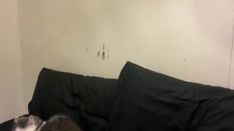 Snapshot of urasaintwink chatting on March 2026 01:05:02 PM Bran online show from March 2026 01:05:02 PM