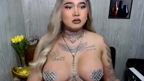 Maxxie online show from July 2026 11:45:02 AM