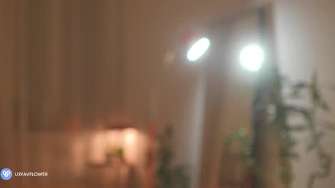 Snapshot of urfavflwers chatting on November 2025 07:12:02 PM Aleksandra online show from November 2025 07:12:02 PM