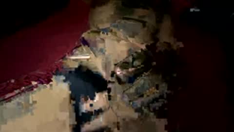 usaintsg online show from April 2026 11:24:02 PM