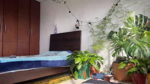 Snapshot of valent1nn chatting on February 2026 01:47:01 PM Valentin independent Cam Boy online show from February 2026 01:47:01 PM