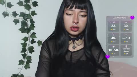 vamp online show from March 2026 03:28:01 AM