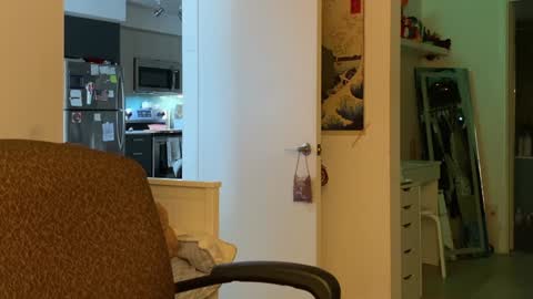 Snapshot of vanessapark chatting on January 2025 03:34:02 PM Vanessa online show from January 2025 03:34:02 PM