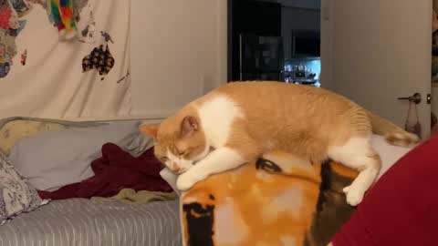 Snapshot of vanessapark chatting on December 2025 02:05:01 AM Vanessa online show from December 2025 02:05:01 AM