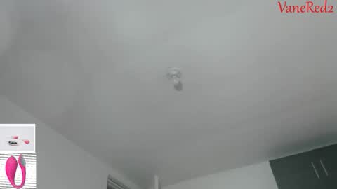 Snapshot of vanessared2 chatting on January 2026 01:42:01 AM Vanesared2 online show from January 2026 01:42:01 AM