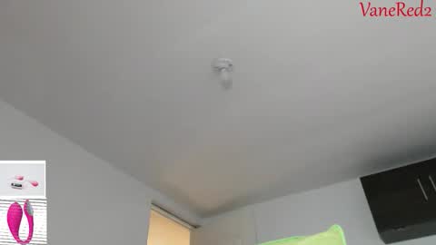 Snapshot of vanessared2 chatting on February 2026 11:45:01 PM Vanesared2 online show from February 2026 11:45:01 PM