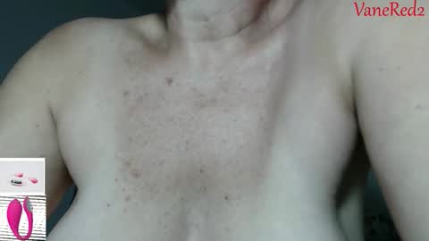 Snapshot of vanessared2 chatting on February 2026 11:47:02 PM Vanesared2 online show from February 2026 11:47:02 PM