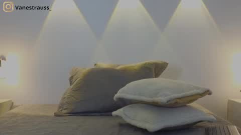 Snapshot of vanestrauss chatting on February 2025 08:53:02 PM New account follow me online show from February 2025 08:53:02 PM