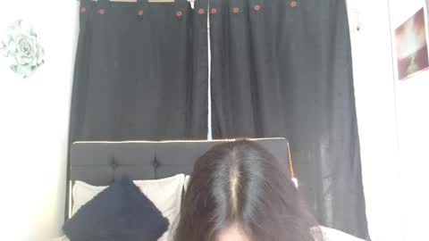 vane online show from November 2025 07:46:02 PM