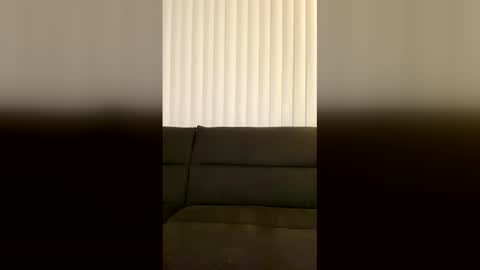 Snapshot of vaultslut111 chatting on April 2026 06:29:02 AM Vault Slut 111 online show from April 2026 06:29:02 AM