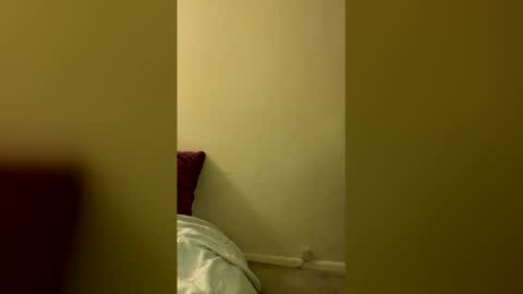 Snapshot of vaultslut111 chatting on April 2026 08:37:02 AM Vault Slut 111 online show from April 2026 08:37:02 AM