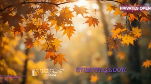 vegas_romance online show from November 2025 11:59:01 PM