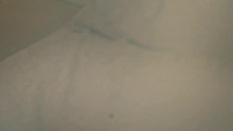 Snapshot of vern37 chatting on April 2026 12:29:02 PM vern37 online show from April 2026 12:29:02 PM