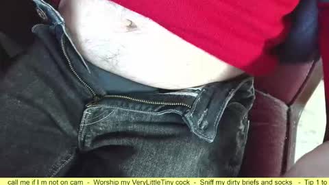 Snapshot of verylittletiny chatting on October 2025 06:15:02 PM Erik online show from October 2025 06:15:02 PM