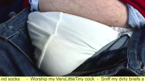 Snapshot of verylittletiny chatting on October 2025 06:36:02 AM Erik online show from October 2025 06:36:02 AM