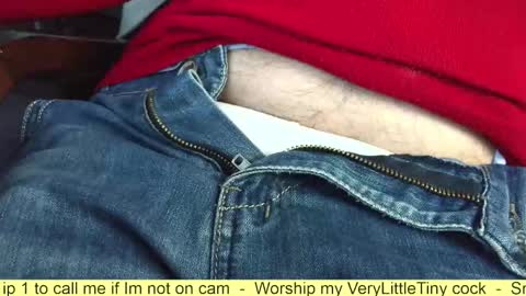 Snapshot of verylittletiny chatting on October 2025 08:11:02 AM Erik online show from October 2025 08:11:02 AM