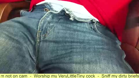 Snapshot of verylittletiny chatting on October 2025 07:56:01 AM Erik online show from October 2025 07:56:01 AM