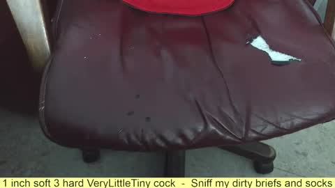 Snapshot of verylittletiny chatting on November 2025 08:03:01 AM Erik online show from November 2025 08:03:01 AM