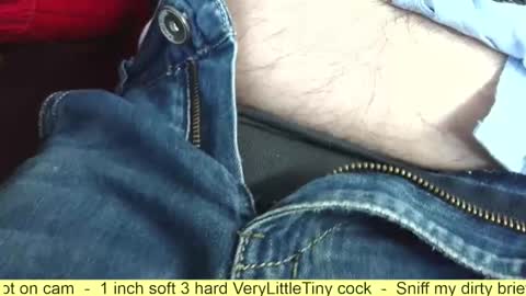 Snapshot of verylittletiny chatting on November 2025 08:47:02 AM Erik online show from November 2025 08:47:02 AM