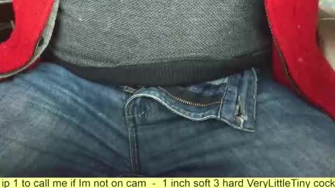 Snapshot of verylittletiny chatting on November 2025 07:29:02 AM Erik online show from November 2025 07:29:02 AM