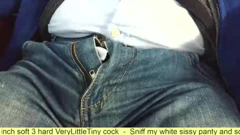 Snapshot of verylittletiny chatting on November 2025 05:28:02 AM Erik online show from November 2025 05:28:02 AM