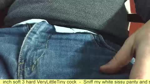 Snapshot of verylittletiny chatting on November 2025 07:36:02 AM Erik online show from November 2025 07:36:02 AM