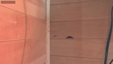 vickyvalencia2 online show from June 2026 01:53:02 PM