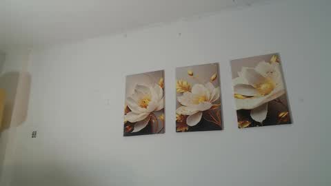 VIOLET  online show from February 2026 11:48:02 AM