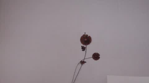 viiolettaaa online show from June 2026 10:37:01 PM