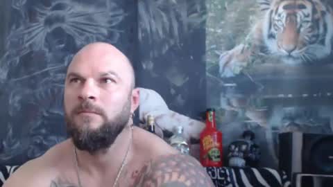 viking online show from April 2026 06:19:02 AM