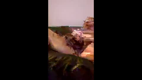 BigRed online show from June 2026 09:41:01 PM