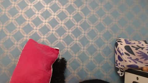 Snapshot of violeta_cute18 chatting on January 2025 10:15:01 PM Violeta online show from January 2025 10:15:01 PM