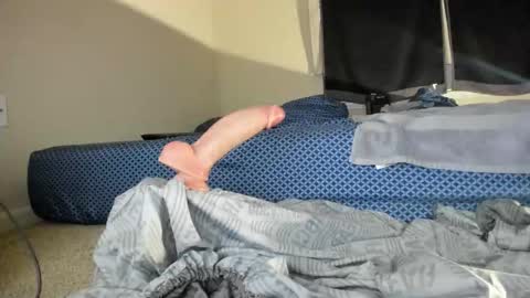 Virgowithabig online show from November 2025 11:14:01 AM