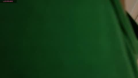 Snapshot of vixen_flutter chatting on April 2026 11:44:02 AM Vixen online show from April 2026 11:44:02 AM