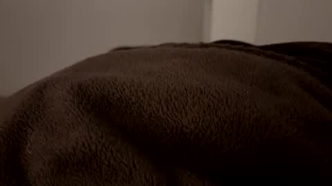 John online show from December 2024 02:53:01 AM