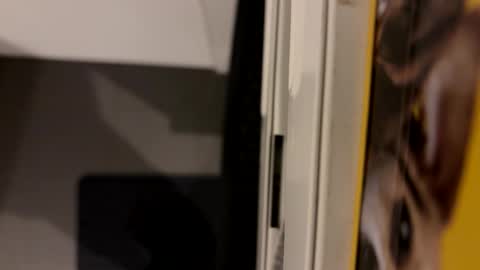 John online show from December 2024 11:25:01 PM