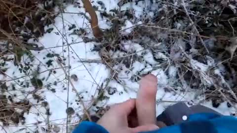 mcfly online show from February 2025 04:22:01 PM