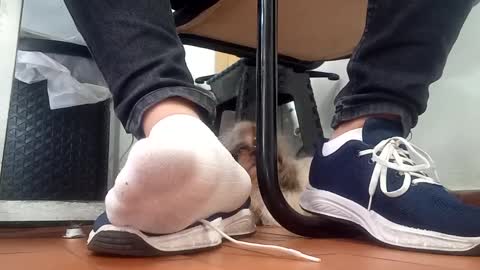 WaltherFeet  online show from September 2025 04:50:01 PM