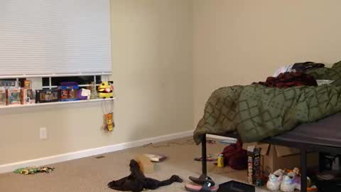 COSMOxWANDA online show from March 2026 01:23:02 AM