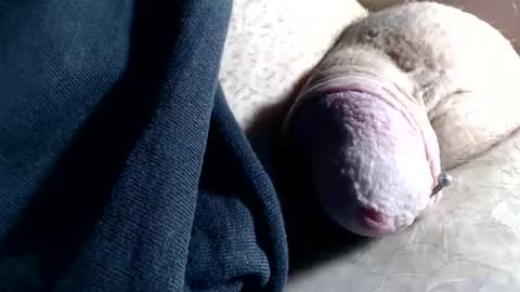 wants online show from November 2025 02:40:02 PM